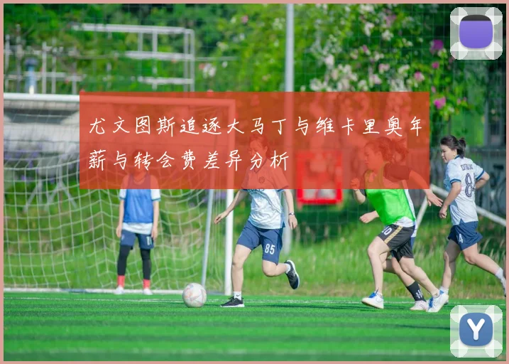尤文图斯追逐大马丁与维卡里奥年薪与转会费差异分析